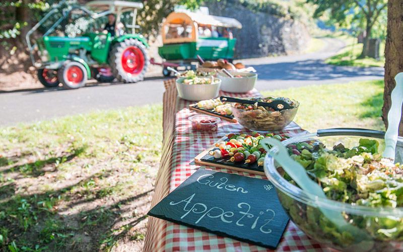 Weinbergsrundfahrt mit dem Planwagen Traktor in den Weinbergen sowie deftigen Winzervesper