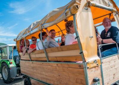 Planwagenfahrt in den Weinbergen der Mosel